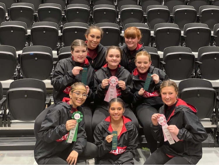 Devilaires Dance Team with their ribbons.
