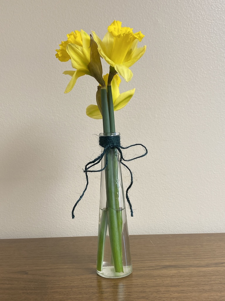 A vase with yellow daffodils.