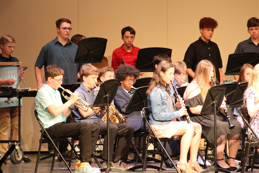 Musicians perform at the TMS Spring Conert.