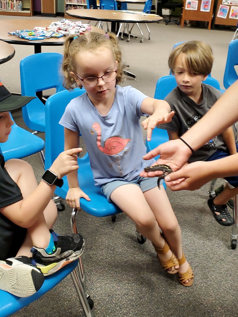 A student at summer school looks at a salamander.
