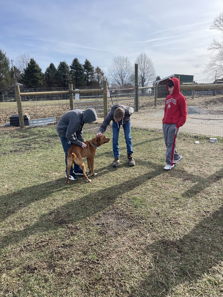 TMS students socialize with a dog at Our Farm Sanctuary.