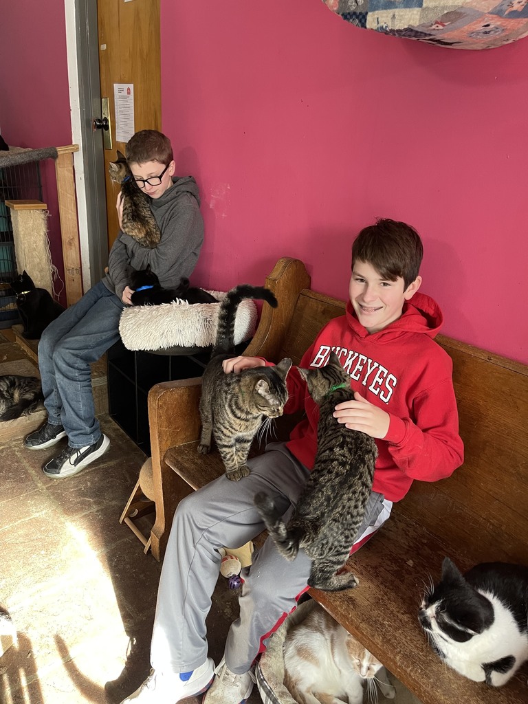 Two TMS students comfort cats at Our Farm Sanctuary.