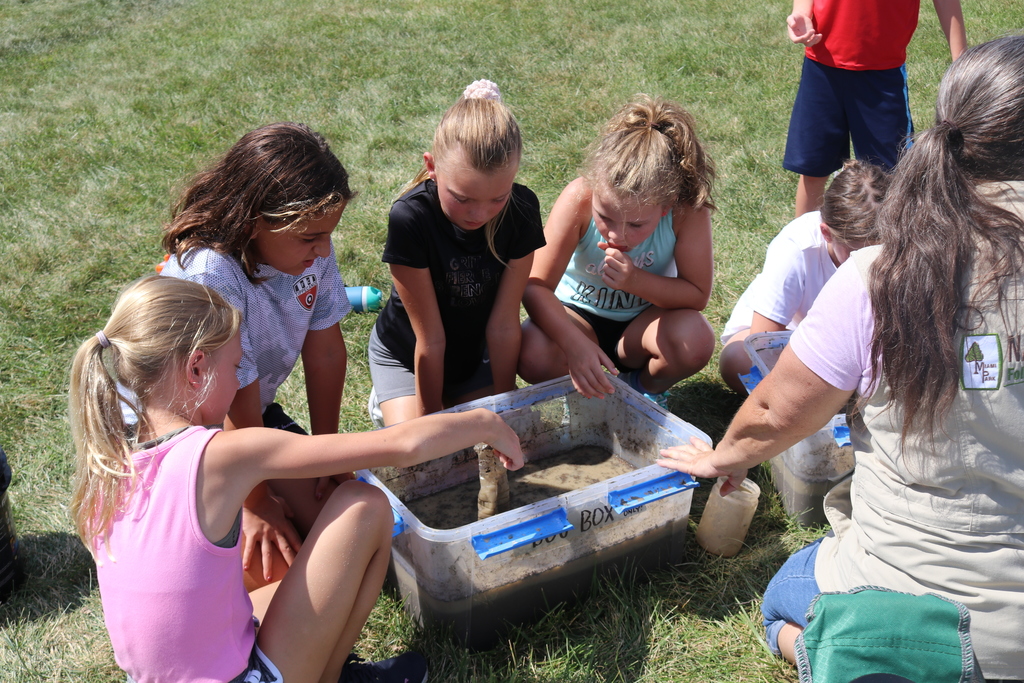 Watershed activity at LT Ball